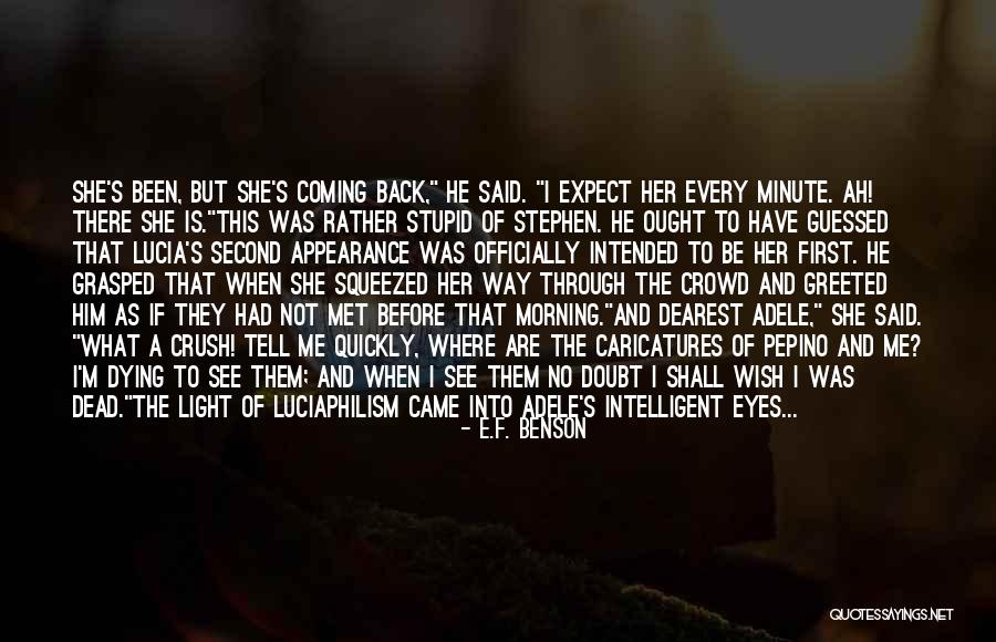 I Should Have Met You Before Quotes By E.F. Benson