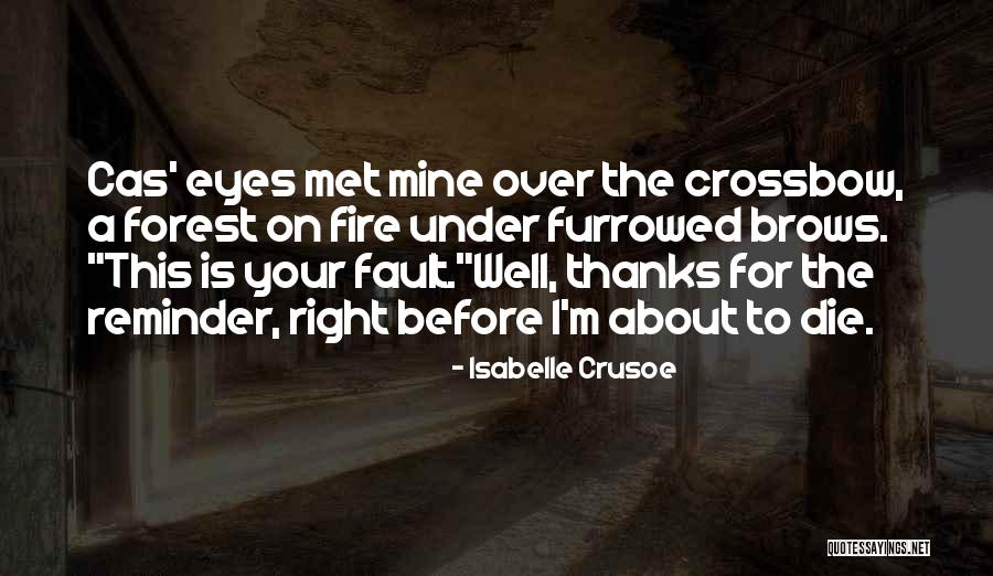 I Should Have Met You Before Quotes By Isabelle Crusoe