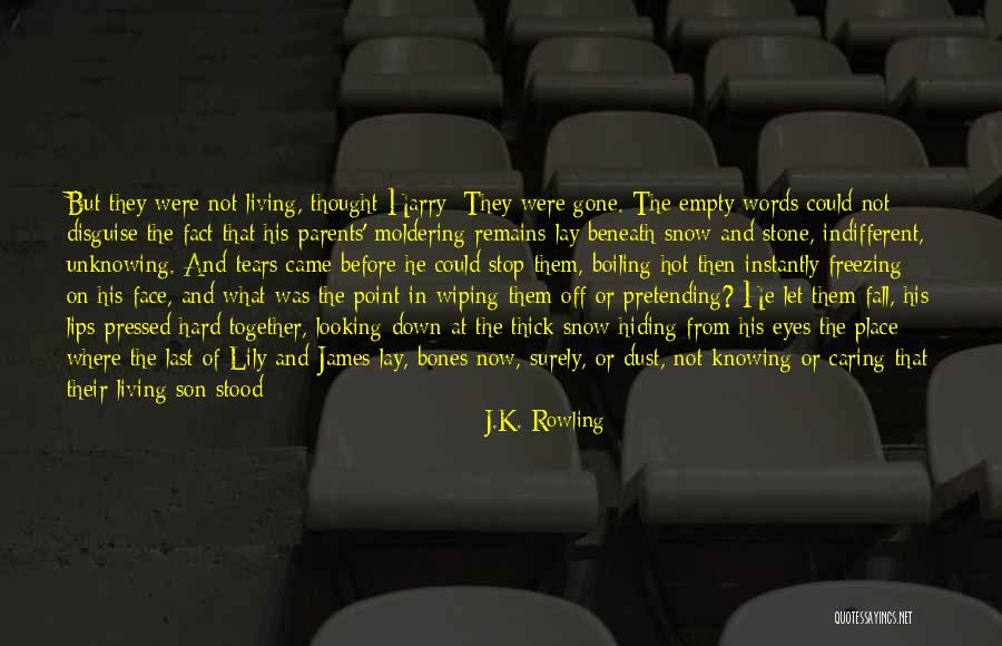 I Should Stop Caring Quotes By J.K. Rowling