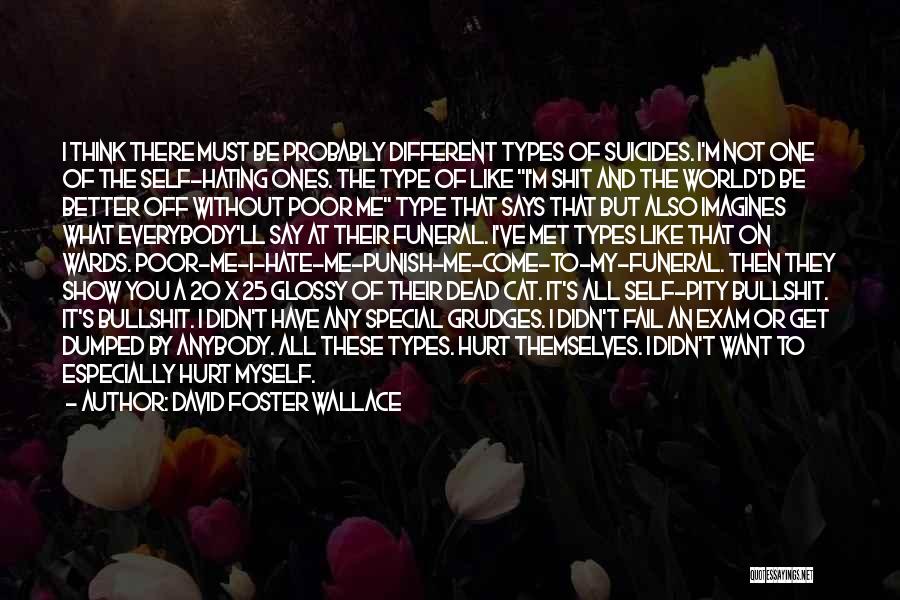 I Should Stop This Feeling Quotes By David Foster Wallace