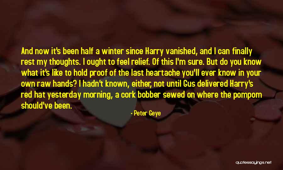 I Should've Quotes By Peter Geye