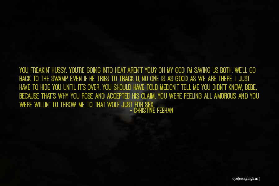 I Should've Told You Quotes By Christine Feehan I Should've Told You Quotes By Christine Feehan