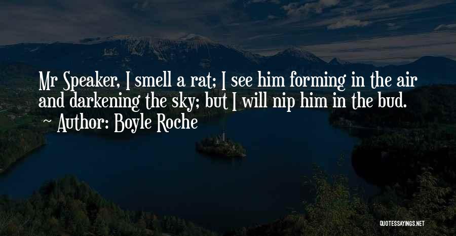 I Smell A Rat Quotes By Boyle Roche