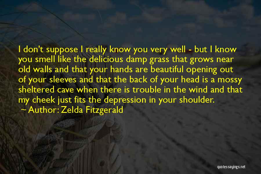 I Smell Trouble Quotes By Zelda Fitzgerald