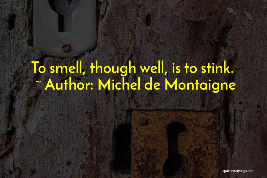 I Smell Your Perfume Quotes By Michel De Montaigne