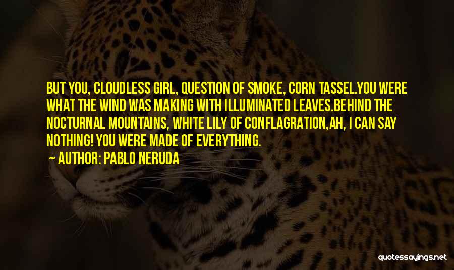 I Smoke Quotes By Pablo Neruda