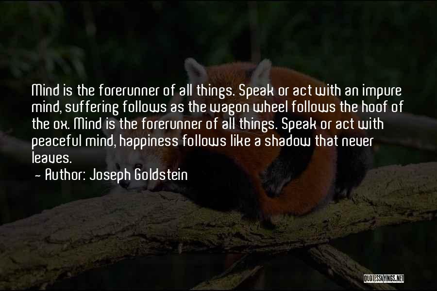 I Speak My Mind. I Never Mind What I Speak Quotes By Joseph Goldstein