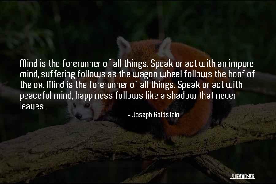 I Speak My Mind. I Never Mind What I Speak Quotes By Joseph Goldstein I Speak My Mind. I Never Mind What I Speak Quotes By Joseph Goldstein