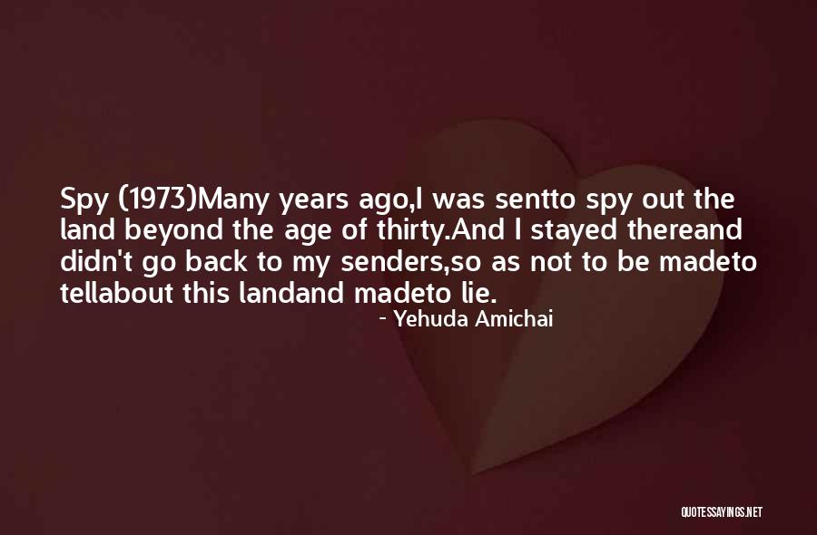 I Spy Quotes By Yehuda Amichai