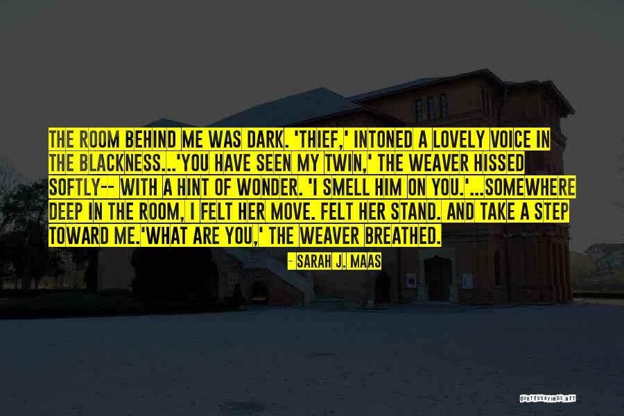 I Stand Behind You Quotes By Sarah J. Maas I Stand Behind You Quotes By Sarah J. Maas
