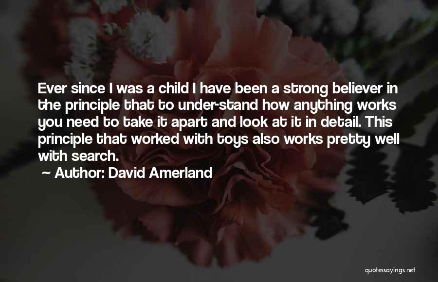 I Stand Strong Quotes By David Amerland