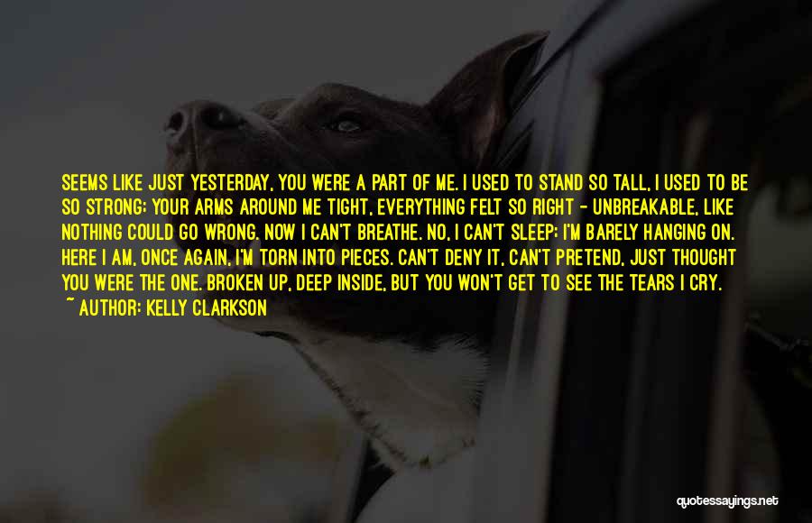 I Stand Strong Quotes By Kelly Clarkson