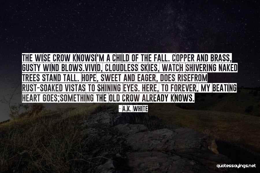 I Stand Tall Quotes By A.K. White