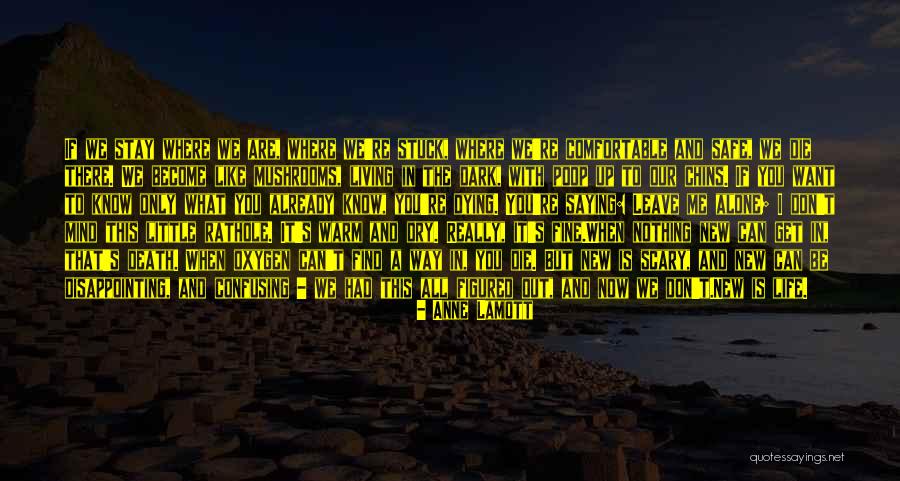 I Stay Alone Quotes By Anne Lamott I Stay Alone Quotes By Anne Lamott