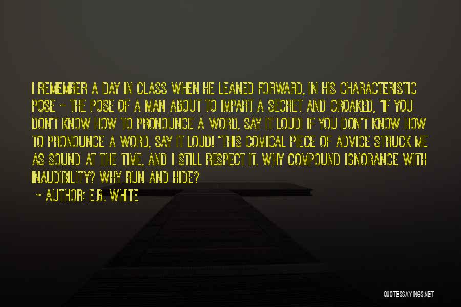 I Still Remember The Day Quotes By E.B. White