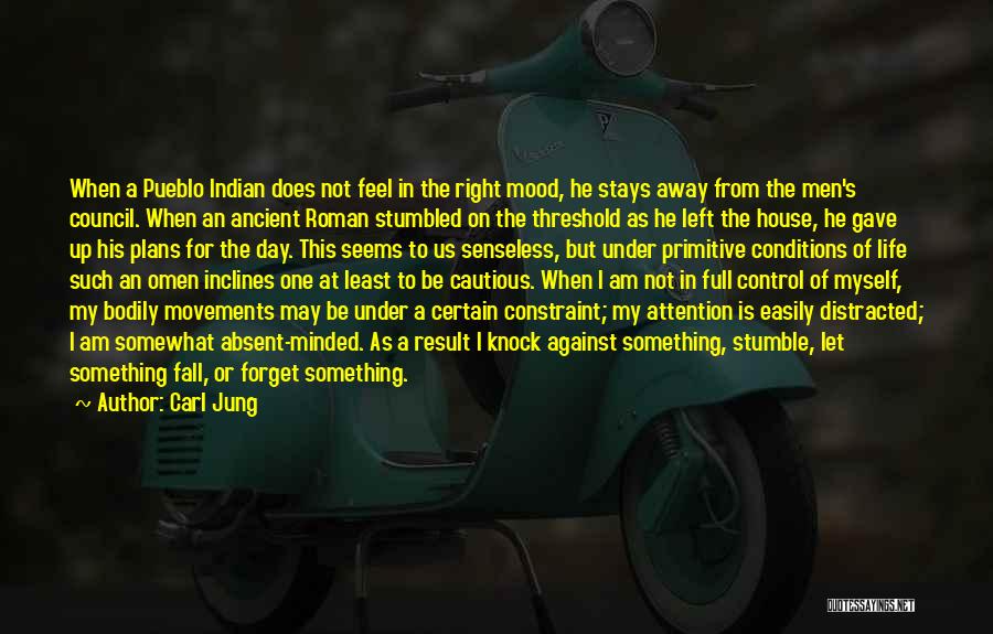 I Stumble And Fall Quotes By Carl Jung