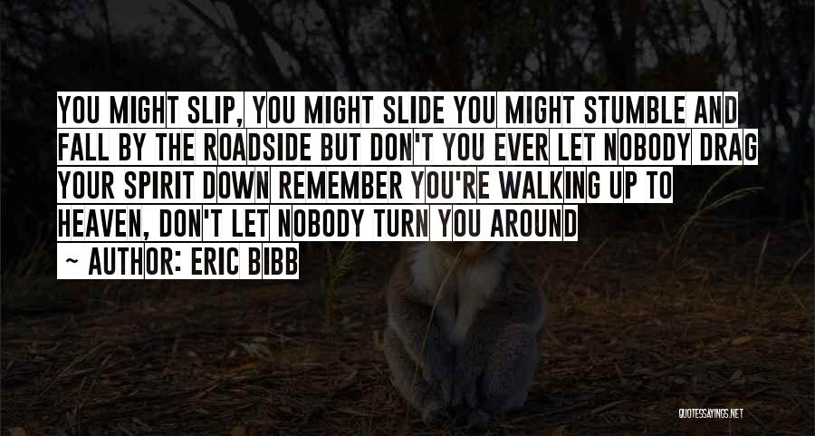 I Stumble And Fall Quotes By Eric Bibb
