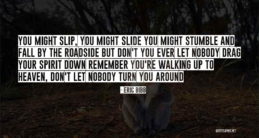 I Stumble And Fall Quotes By Eric Bibb