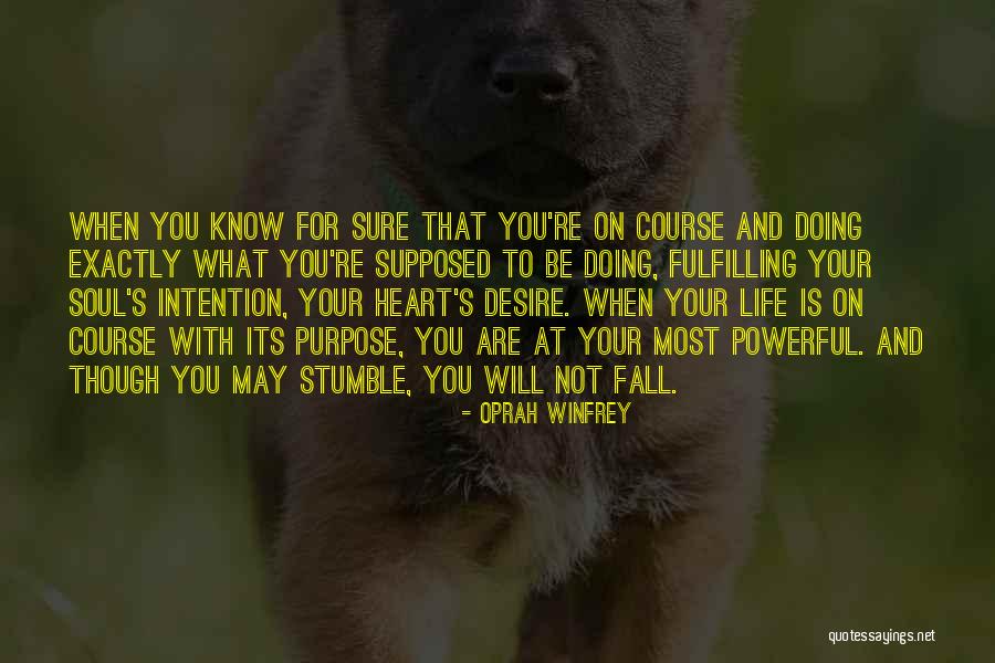 I Stumble And Fall Quotes By Oprah Winfrey