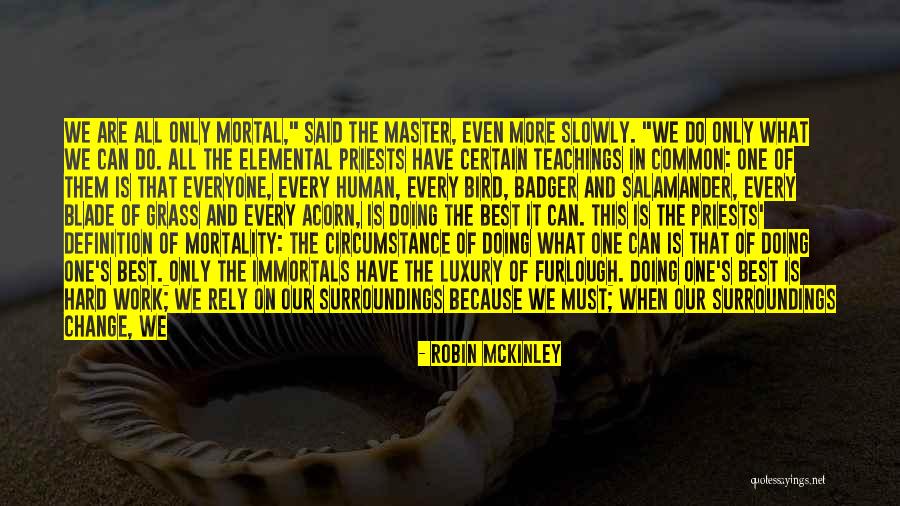 I Stumble And Fall Quotes By Robin McKinley I Stumble And Fall Quotes By Robin McKinley
