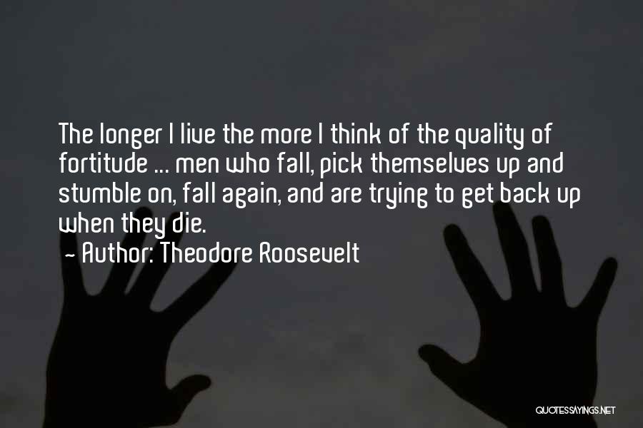 I Stumble And Fall Quotes By Theodore Roosevelt