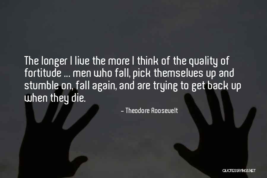 I Stumble And Fall Quotes By Theodore Roosevelt