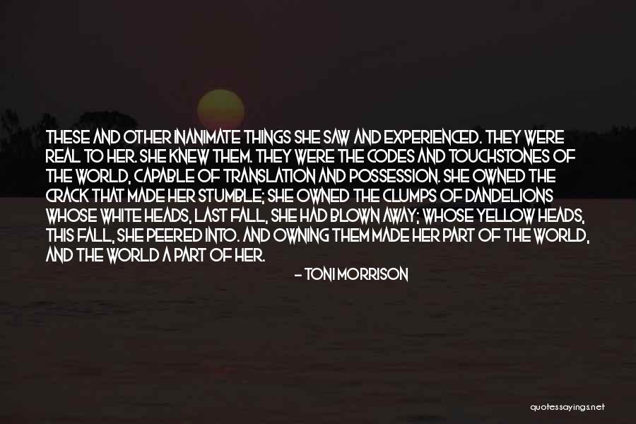 I Stumble And Fall Quotes By Toni Morrison I Stumble And Fall Quotes By Toni Morrison