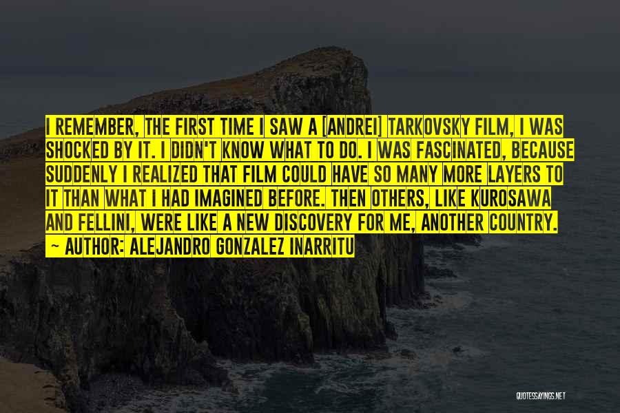 I Suddenly Realized Quotes By Alejandro Gonzalez Inarritu