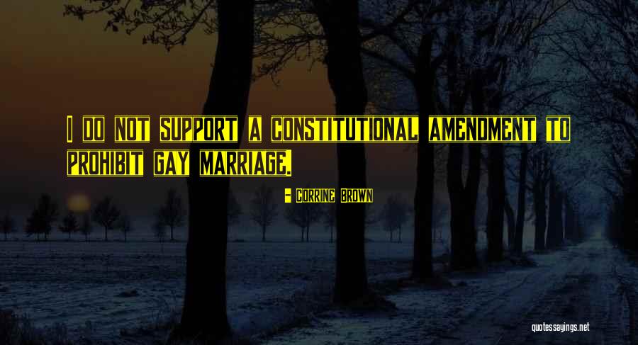 I Support Gay Quotes By Corrine Brown