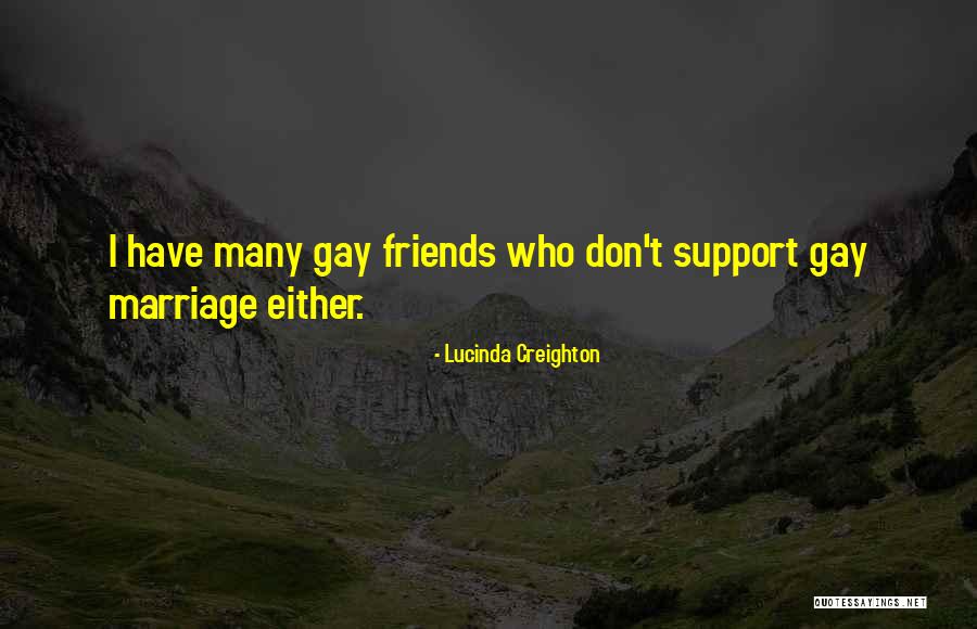 I Support Gay Quotes By Lucinda Creighton
