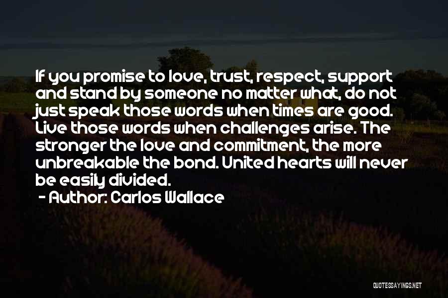 I Support You No Matter What Quotes By Carlos Wallace