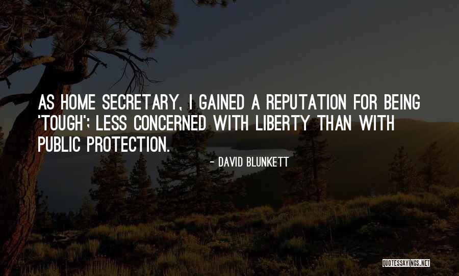 I Surrender Song Quotes By David Blunkett I Surrender Song Quotes By David Blunkett