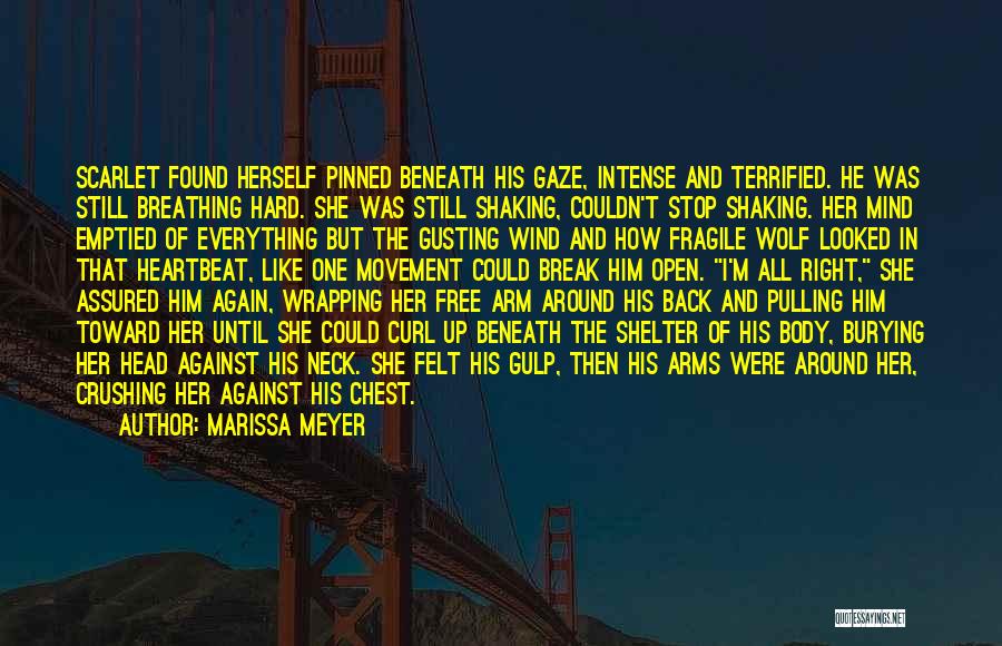 I Terrified Quotes By Marissa Meyer I Terrified Quotes By Marissa Meyer