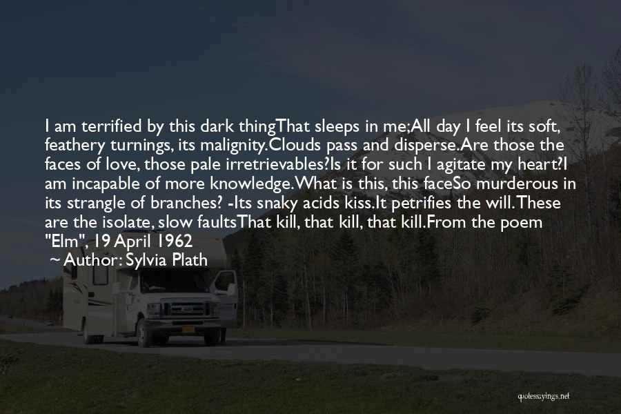 I Terrified Quotes By Sylvia Plath