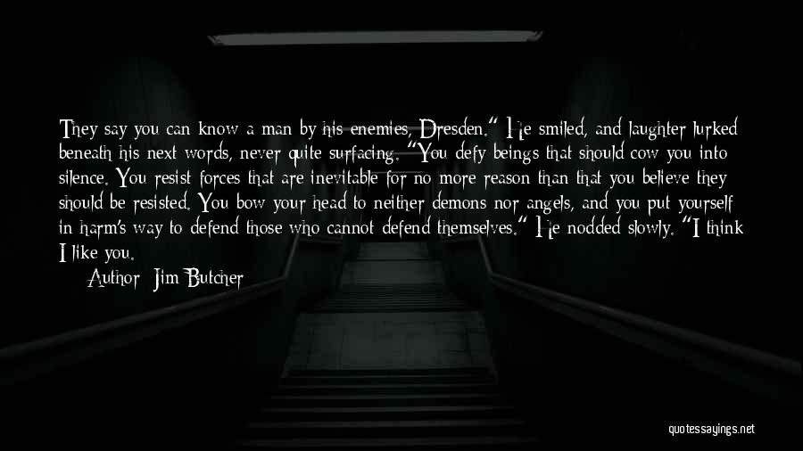 I Think I Like You More Than I Should Quotes By Jim Butcher