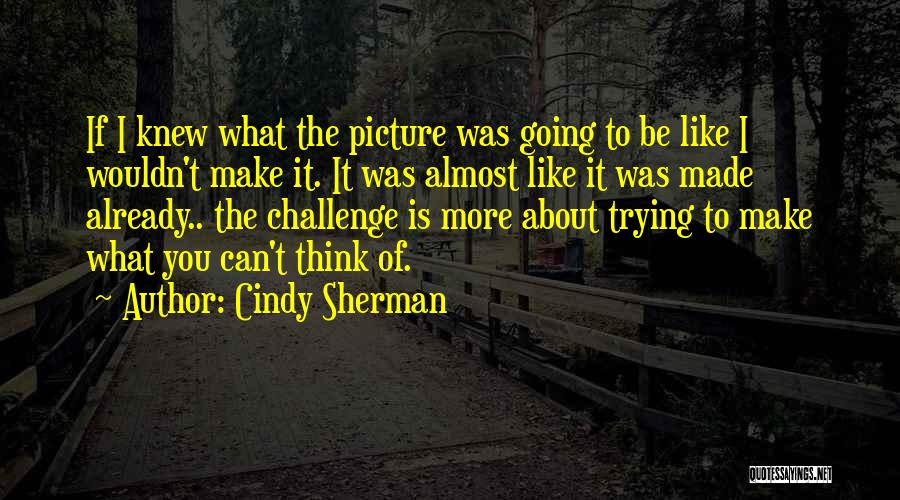 I Think I Like You Picture Quotes By Cindy Sherman