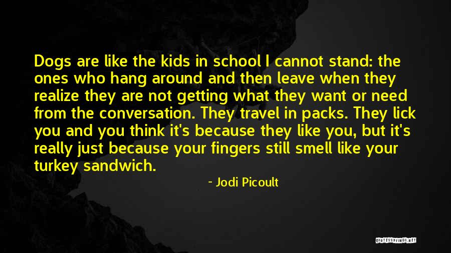 I Think I Still Like You Quotes By Jodi Picoult I Think I Still Like You Quotes By Jodi Picoult