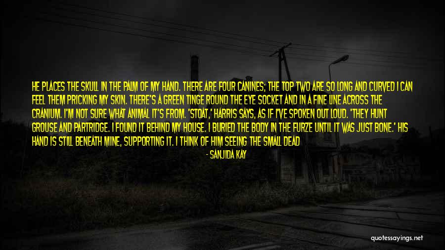 I Think I Still Like You Quotes By Sanjida Kay I Think I Still Like You Quotes By Sanjida Kay