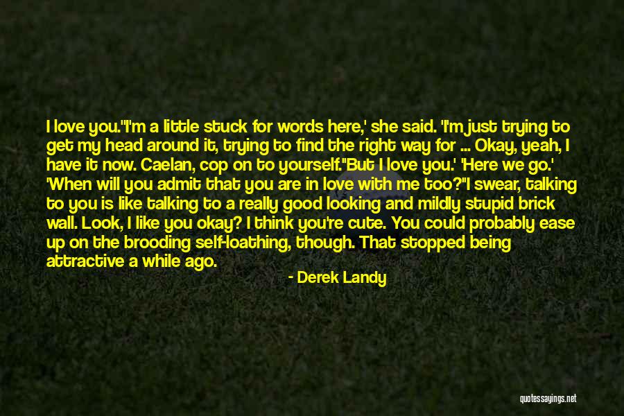 I Think I'm Cute Quotes By Derek Landy I Think I'm Cute Quotes By Derek Landy