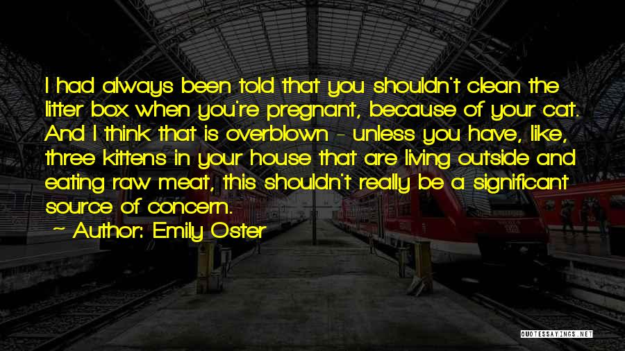 I Think I'm Pregnant Quotes By Emily Oster