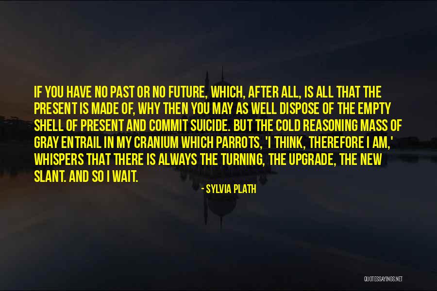I Think Therefore I Am Quotes By Sylvia Plath I Think Therefore I Am Quotes By Sylvia Plath
