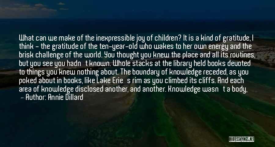 I Think We Can Make It Quotes By Annie Dillard