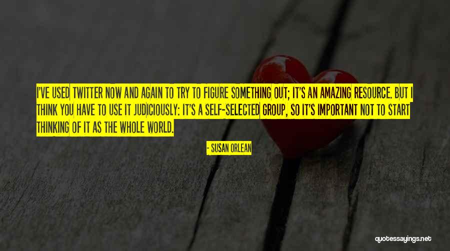 I Think You Amazing Quotes By Susan Orlean