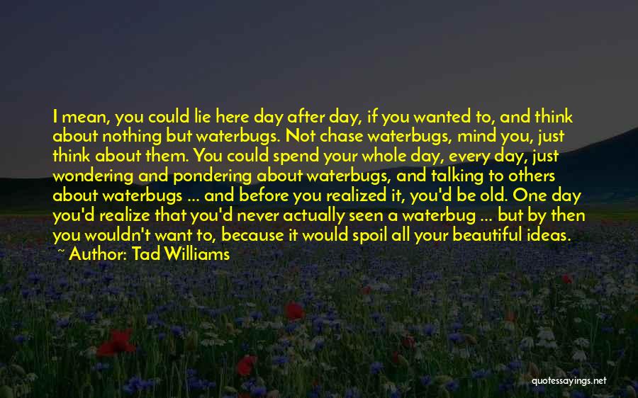 I Think Your Beautiful Quotes By Tad Williams