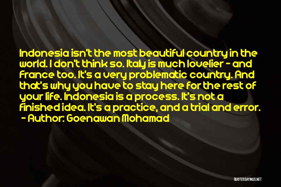 I Think Your So Beautiful Quotes By Goenawan Mohamad