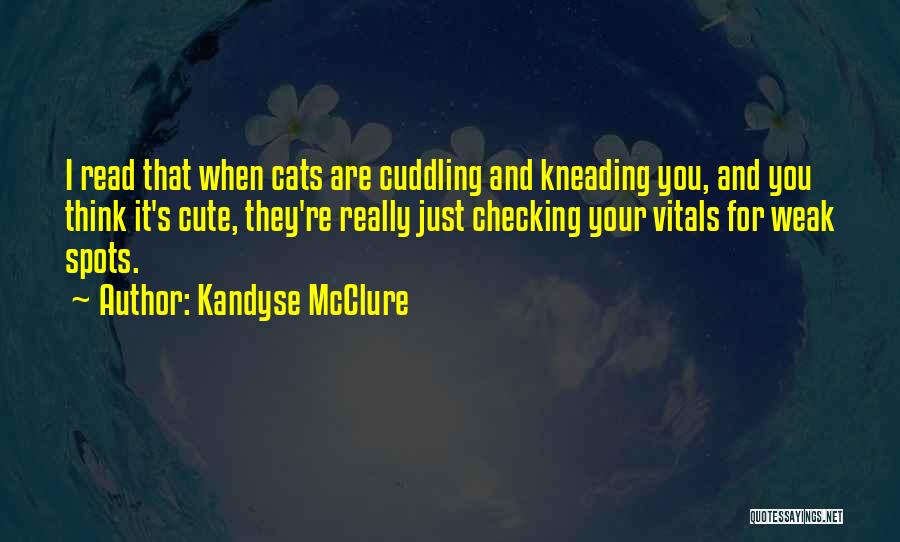 I Think You're Cute Quotes By Kandyse McClure