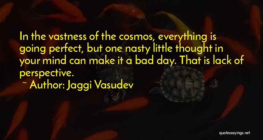 I Thought Everything Was Perfect Quotes By Jaggi Vasudev