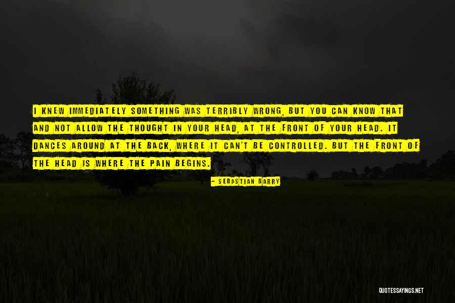 I Thought I Knew You But I Was Wrong Quotes By Sebastian Barry I Thought I Knew You But I Was Wrong Quotes By Sebastian Barry