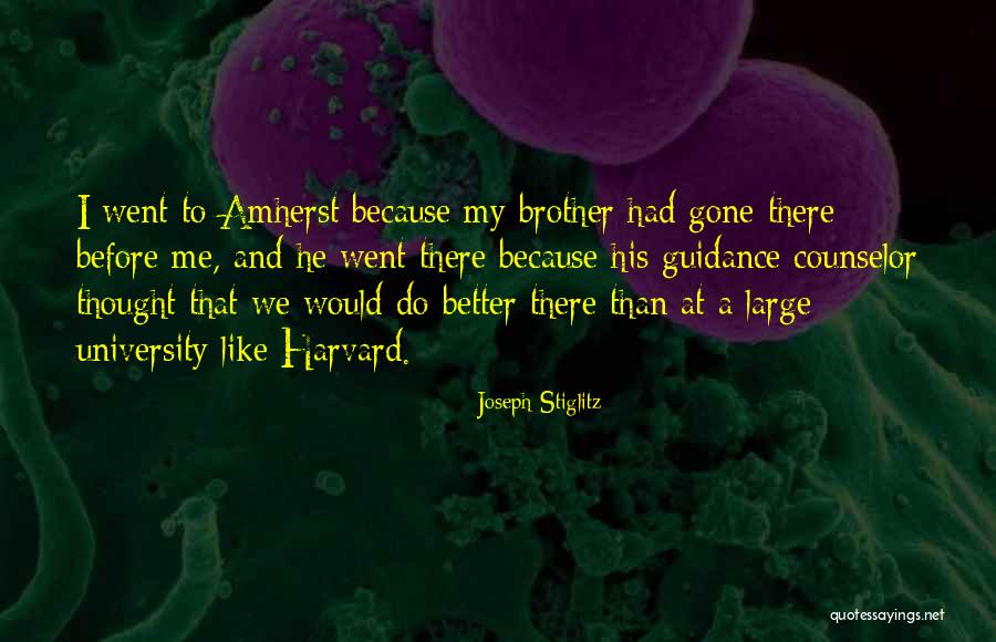 I Thought We Was Better Than That Quotes By Joseph Stiglitz