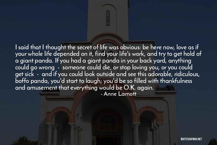 I Thought Wrong Love Quotes By Anne Lamott I Thought Wrong Love Quotes By Anne Lamott